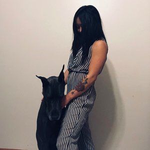 American Apparel Chiffon Striped Jumpsuit